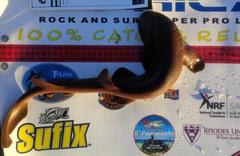 Haploblepharus fuscus