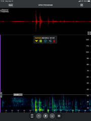 Parastrellus hesperus