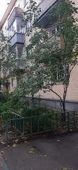 Syringa vulgaris