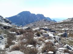 Romulea atrandra esterhuyseniae