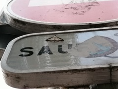 Cydalima perspectalis