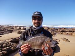 Sparodon durbanensis