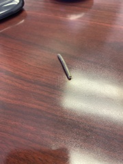 Anadenobolus monilicornis