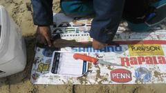 Haploblepharus fuscus