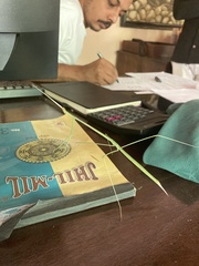 Schizocephala bicornis