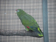 Tucuman Amazon photo 4