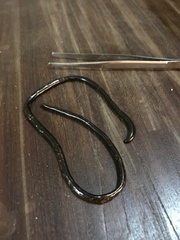 Liotyphlops ternetzii