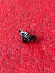 Micrathena gracilis