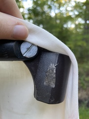 Lithophane antennata