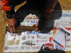 Haploblepharus fuscus