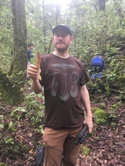 Morchella rufobrunnea