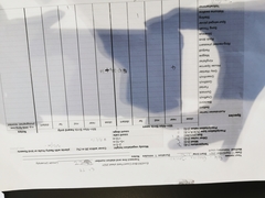 Rhipidura fuliginosa