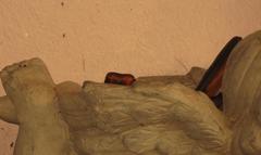 Cossypha natalensis natalensis