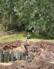 Elephantidae
