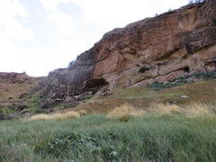 Merxmuellera macowanii