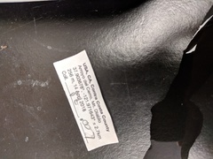 Dracotettix monstrosus