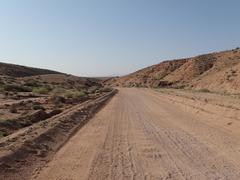 Jamesbrittenia fruticosa