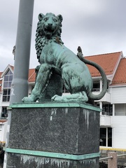 Passer domesticus domesticus