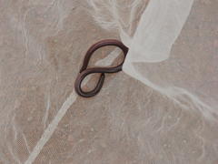 Afrotyphlops bibronii