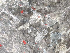 Ecchlorolestes peringueyi