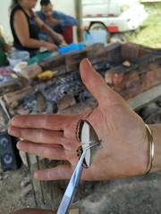 Oressinoma typhla typhla