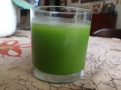 Detarium senegalense