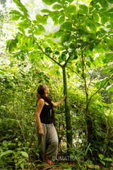 Amorphophallus titanum