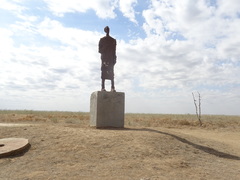 Artemisia pauciflora