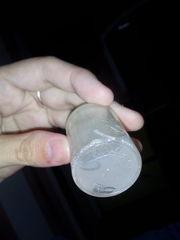 Ascaris lumbricoides