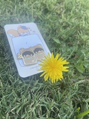 Taraxacum