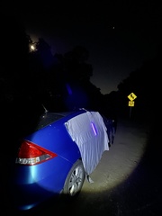 Chaoborus astictopus