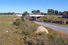 Agathosma gonaquensis