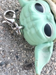 Armadillidium vulgare