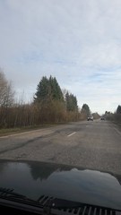 Heracleum sosnowskyi