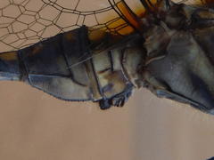 Orthetrum chrysostigma chrysostigma