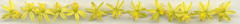 Bulbine asphodeloides