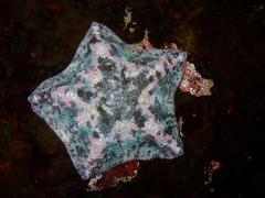 Parvulastra dyscrita