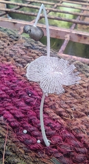 Coprinopsis lagopus