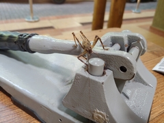 Meroncidius flavolimbatus