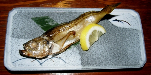Japanese Sandfish