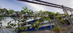 Passiflora edulis