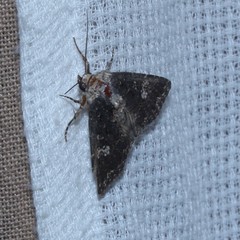 Condica dolorosa