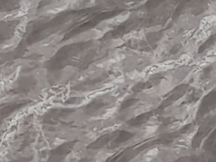 Potamogeton perfoliatus