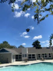 Gasteracantha cancriformis