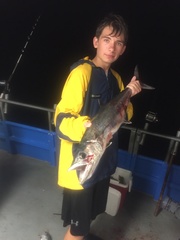 Scomberomorus cavalla