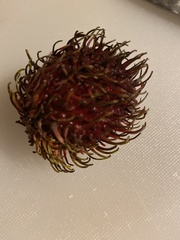 Nephelium