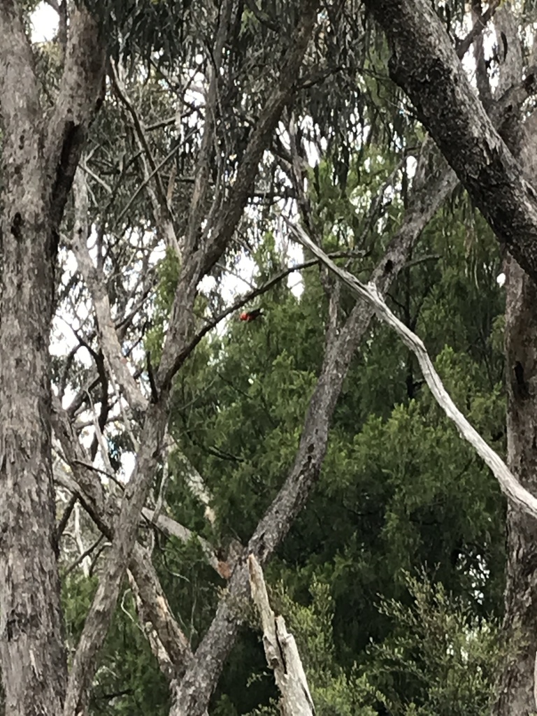 Is Lysterfield Park Open Today Is Lysterfield Park Open Today