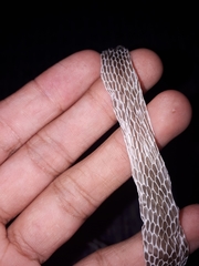 Oxybelis rutherfordi