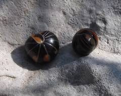 Glomeris pulchra