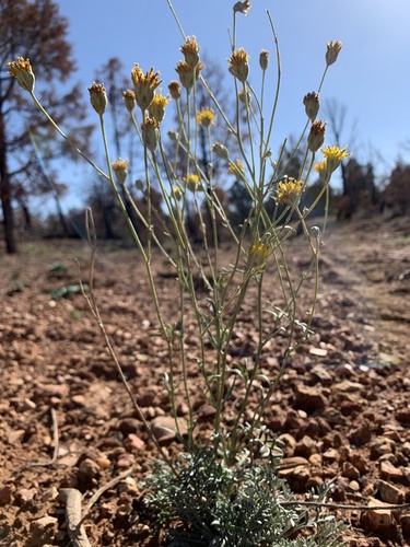 Hayduke Trail #10